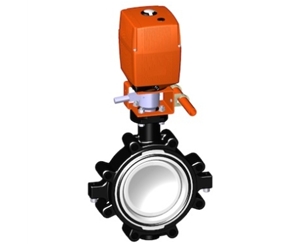 電動(dòng)蝶閥，24V 帶手動(dòng)手柄、+GF+電動(dòng)蝶閥 電動(dòng)塑料蝶閥